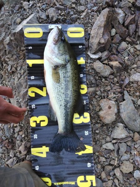 またグリマーで１本